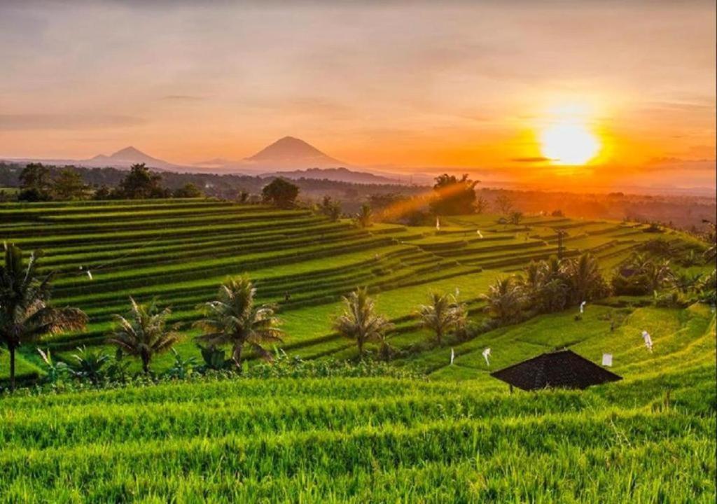 Selemadeg Luxenomads Tanah Lot Oceanview Escape 빌라 외부 사진